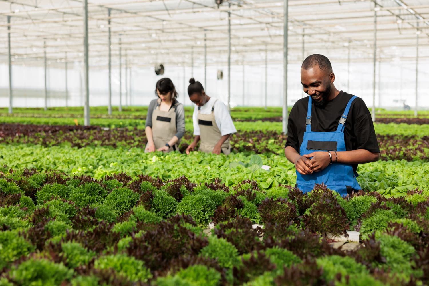 University entrance view